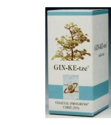 GINKETZE 80TAV 600MG