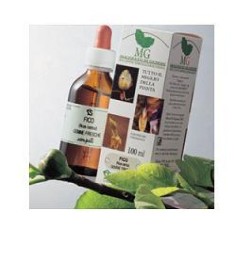 BETULA VERRUCOSA 100ML MG