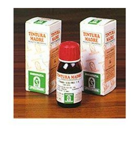 Artiglio Del Diavolo 35 Tm50ml