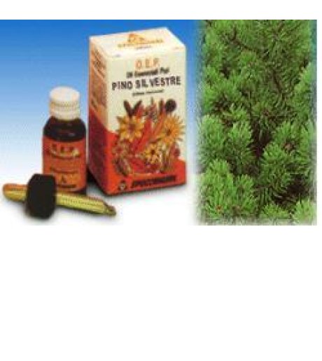 PINO SILVESTRE OE PURO 10ML