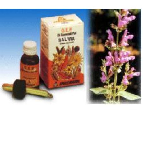 SALVIA OLIO ESS 10ML SPECCH