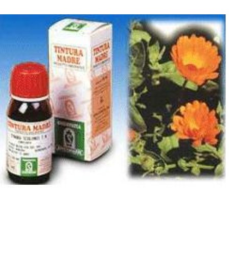 CALENDULA OFF 5 50ML TM SPECCH