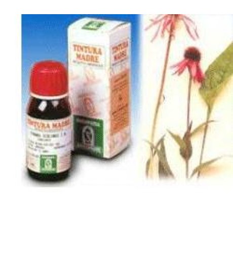 ECHINACEA 59 50ML TM SPECCH