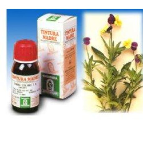 SP.VIOLA TRICOLOR TM 50ml