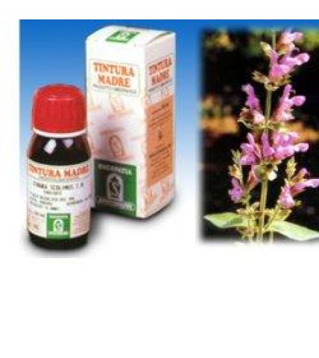 SALVIA 25 50ML TM