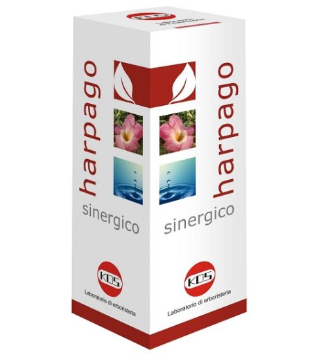 HARPAGO SINERGICO GTT 100ML KO