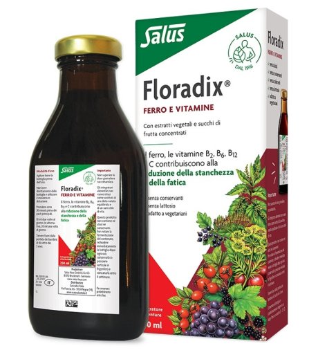 Floradix 250ml