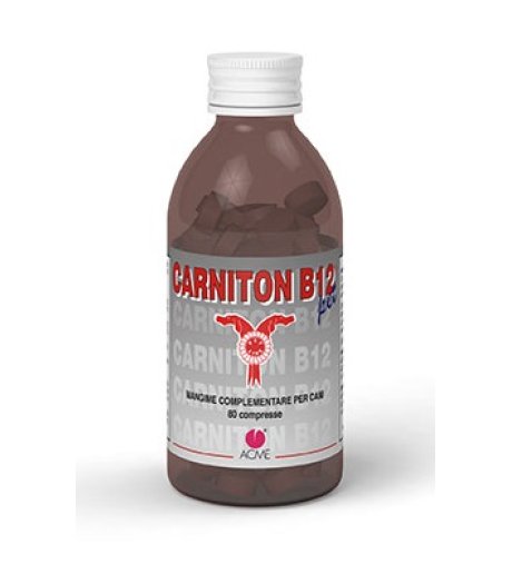 CARNITON B12 Pet 80 Cpr x Cani