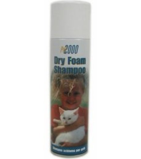 DRY FOAM SH GATTI 250ML