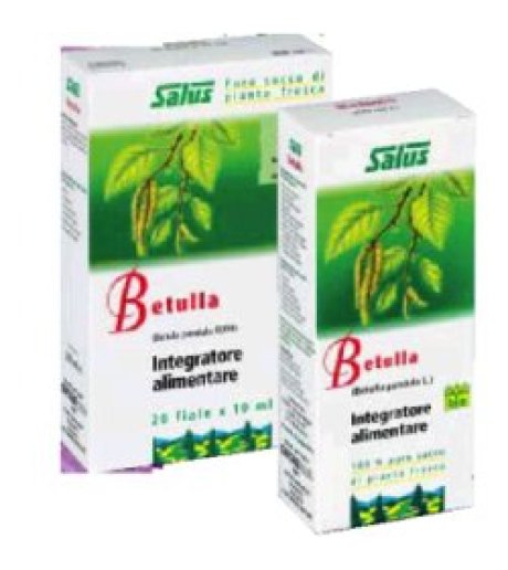 BETULLA SUCCO S/ALC 200ML SALUS