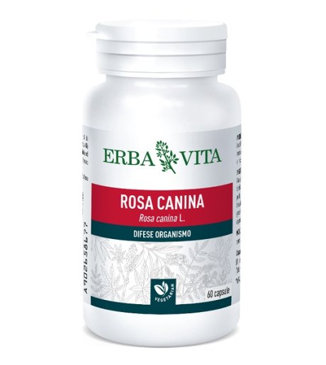 ROSA CANINA 60CPS 400MG EBV <