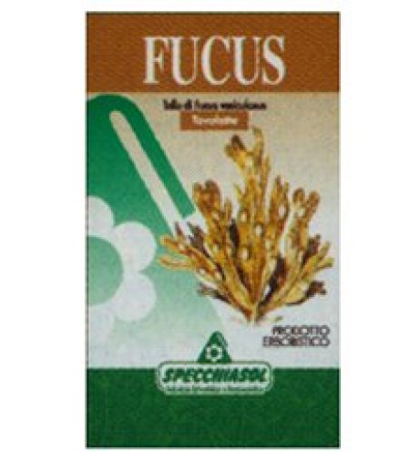 FUCUS ERBE 150TAV SPECCH