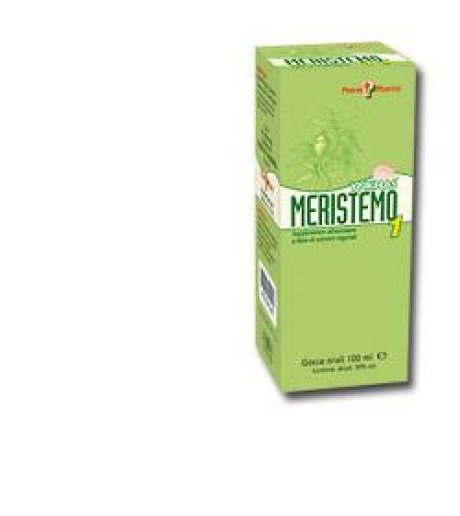 MERISTEMO INKAS 1 100ML