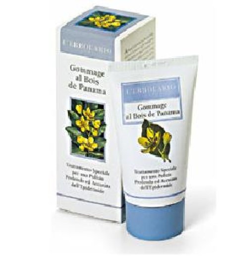 GOMMAGE BOIS PANAMA 75ML