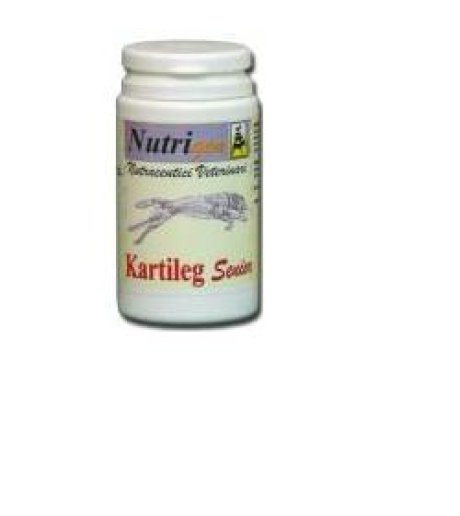 KARTILEG SENIOR 120 TAV