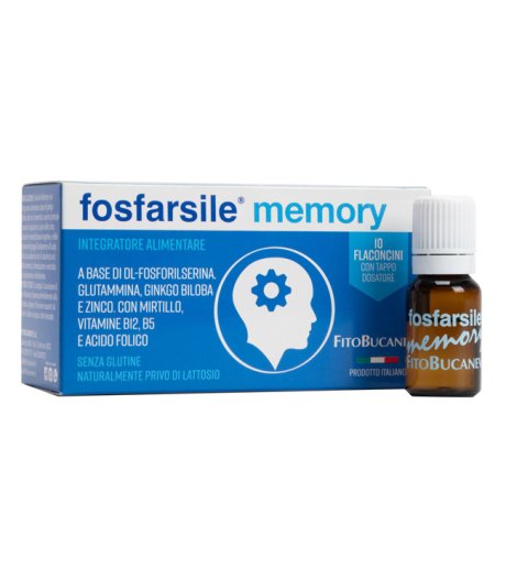 FOSFARSILE MEMORY INT 10FLNI