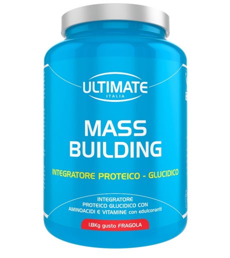 ULTIMATE MASS BUILDING FRAG1,8