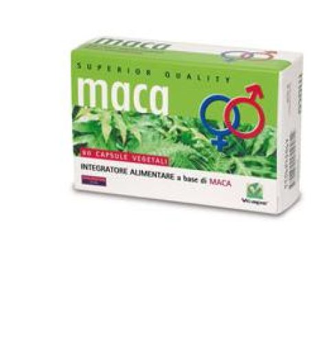 MACA 60CPS