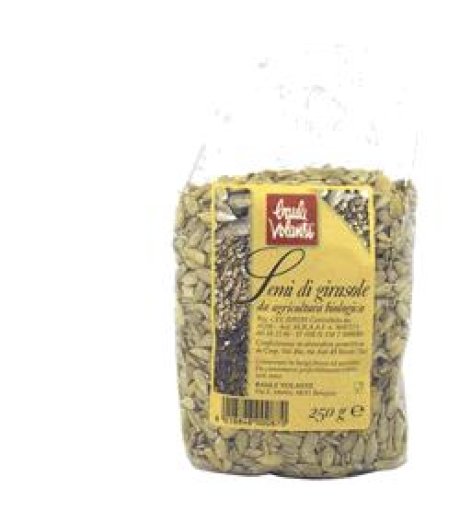 BAULE Semi Girasole Sgusc.250g