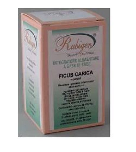 FICUS CARICA 60CPS