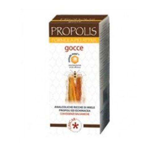 PROPOLIS AD ESTR ANALCO 50ML