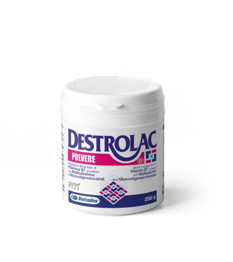 DESTROLAC POLV IDROSOLUB 250G