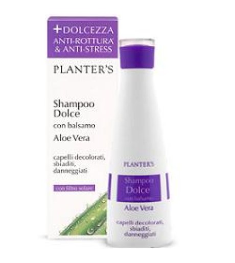 PLANTERS  SH DOLCE ALOE VERA