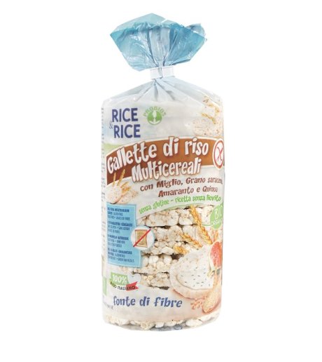 R&R Gallette M-Cereali 100g