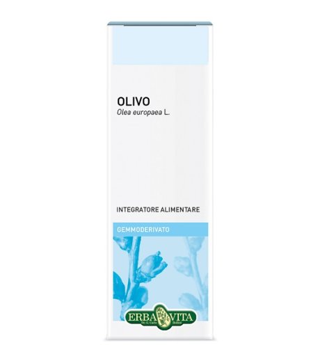 GEMMODERIVATO OLIVO 50ML