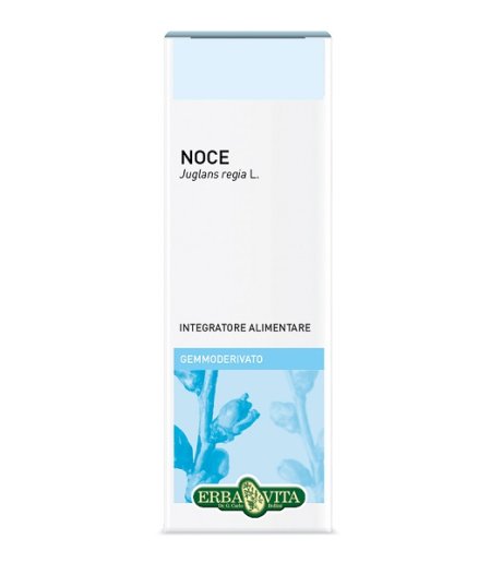 GEMMODERIVATO NOCE 50ML