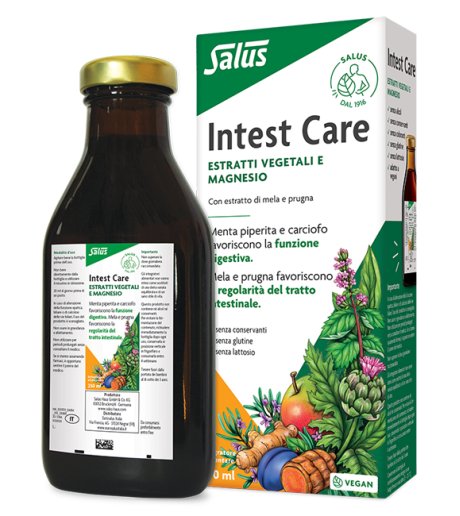 INTESTCARE LIQUIDO 250ML