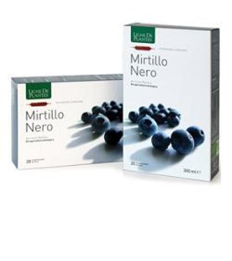 MIRTILLO NERO BIO 20AB 15ML