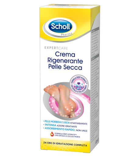 Scholl Cr Rigen P Sec Piedi