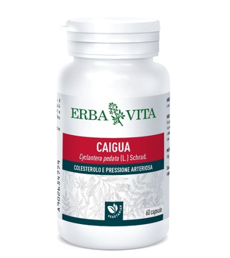 CAIGUA 60CPS 400MG EBV