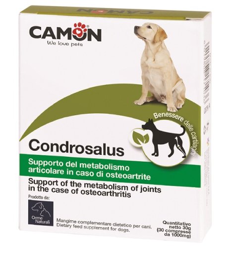 CONDROSALUS ORME NAT 60CPR