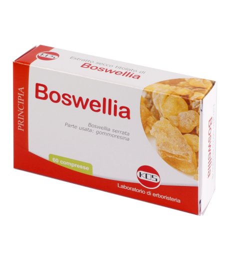 BOSWELLIA ES.SEC 60CPR 24G KOS