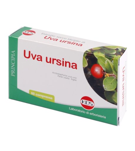 UVA URSINA E.S. 60 CPR 300MG K