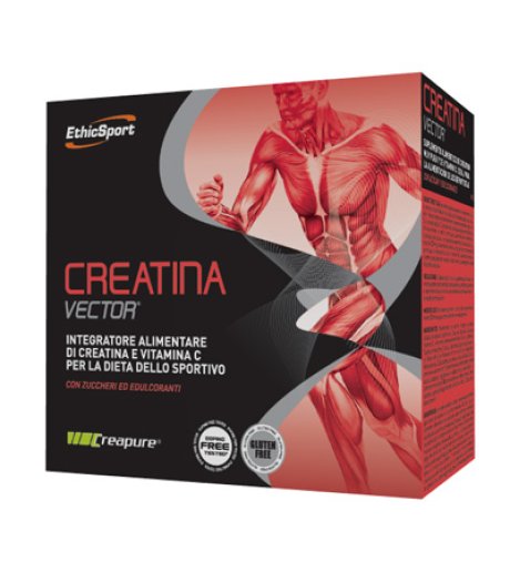 CREATINA VECTOR 20BUST 8G