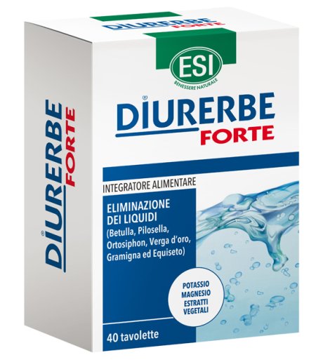 DIURERBE FORTE 40 TAV