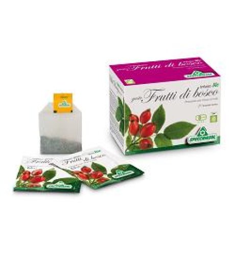 INFUSO BIO FR/BOSC 20FILT SPECCH