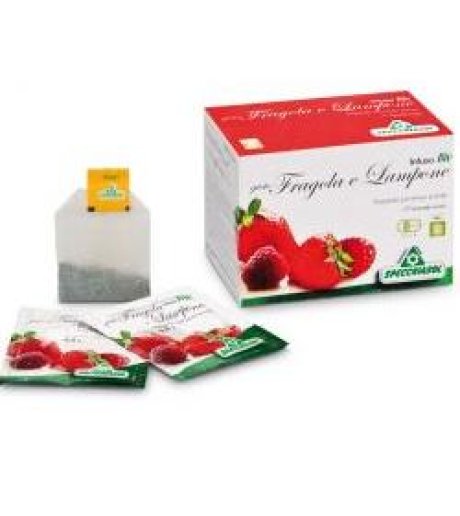 INFUSO FRAGOLA/LAMPONE 20FILT