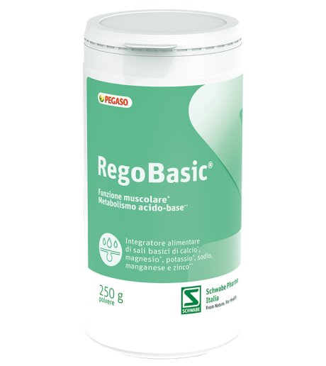 REGOBASIC POLVERE 250G