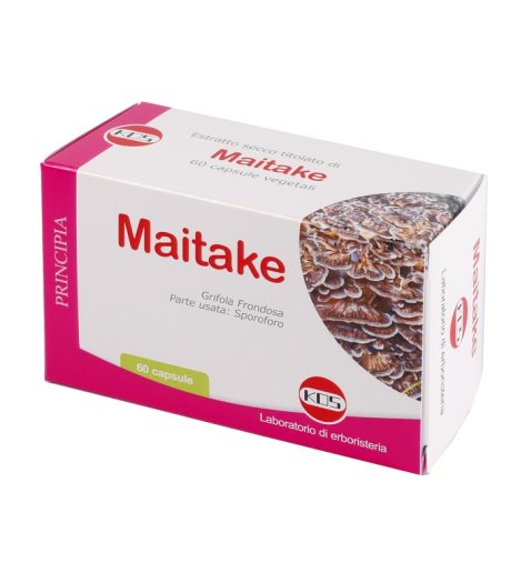 MAITAKE 60CPS