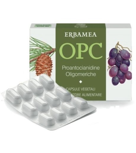 OPC 24CPS VEG S/GL 500MG ERBAMEA