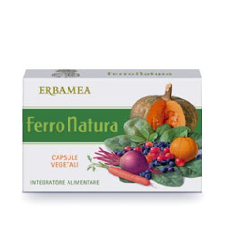 FERRONATURA 24 Cps 530mg EBM