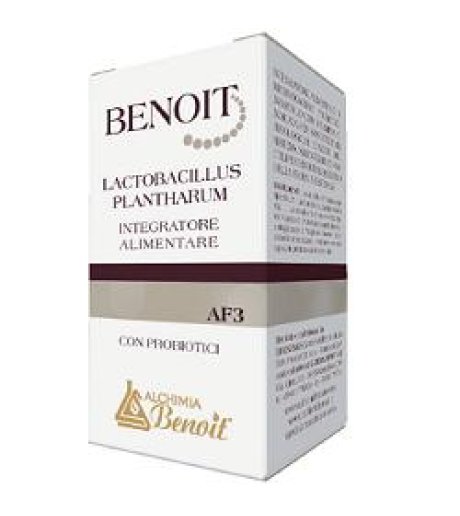 BENOIT LACTOBACILLUS PLANTHARU