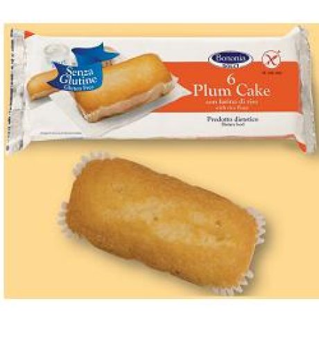 BONONIA Plumcake Riso 6x36g