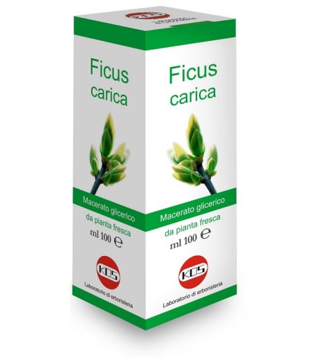 FICUS CARICA MG GTT 100ML KOS