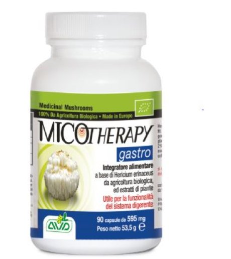 MICOTHERAPY GASTRO 90CPS