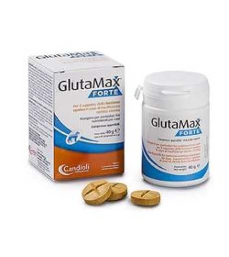 GLUTAMAX Fte  20 Cpr